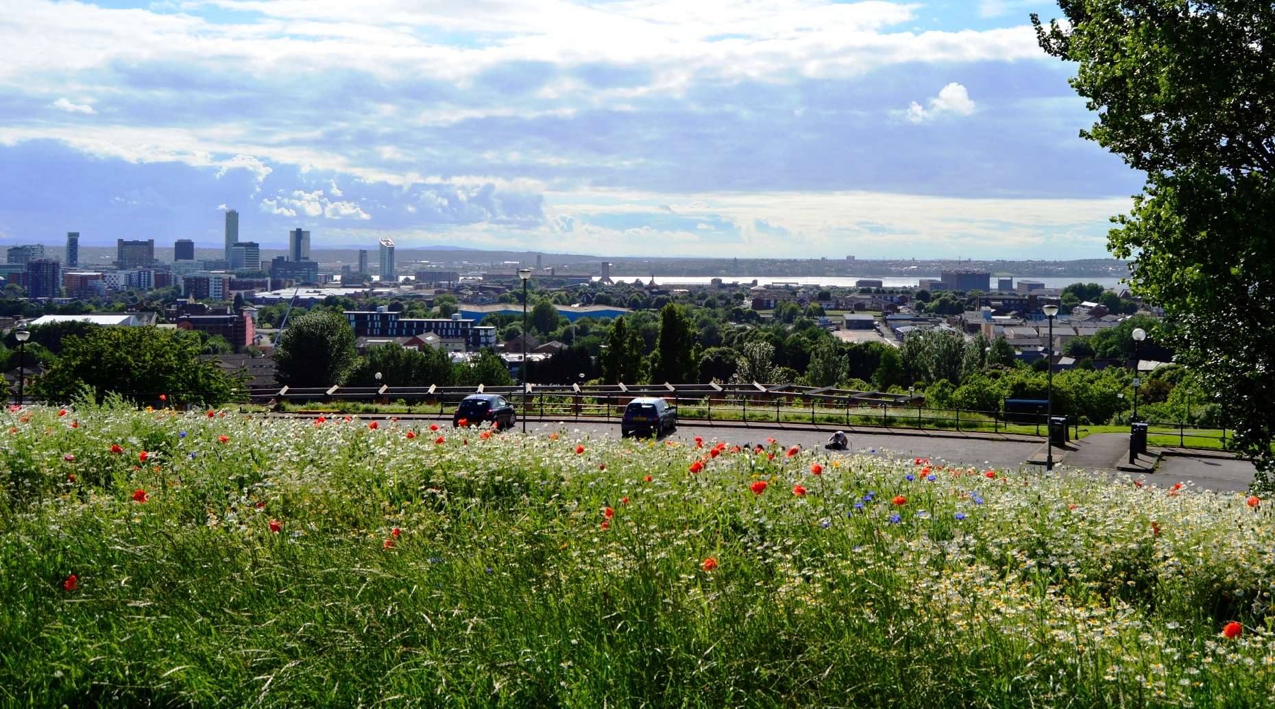 Everton Park