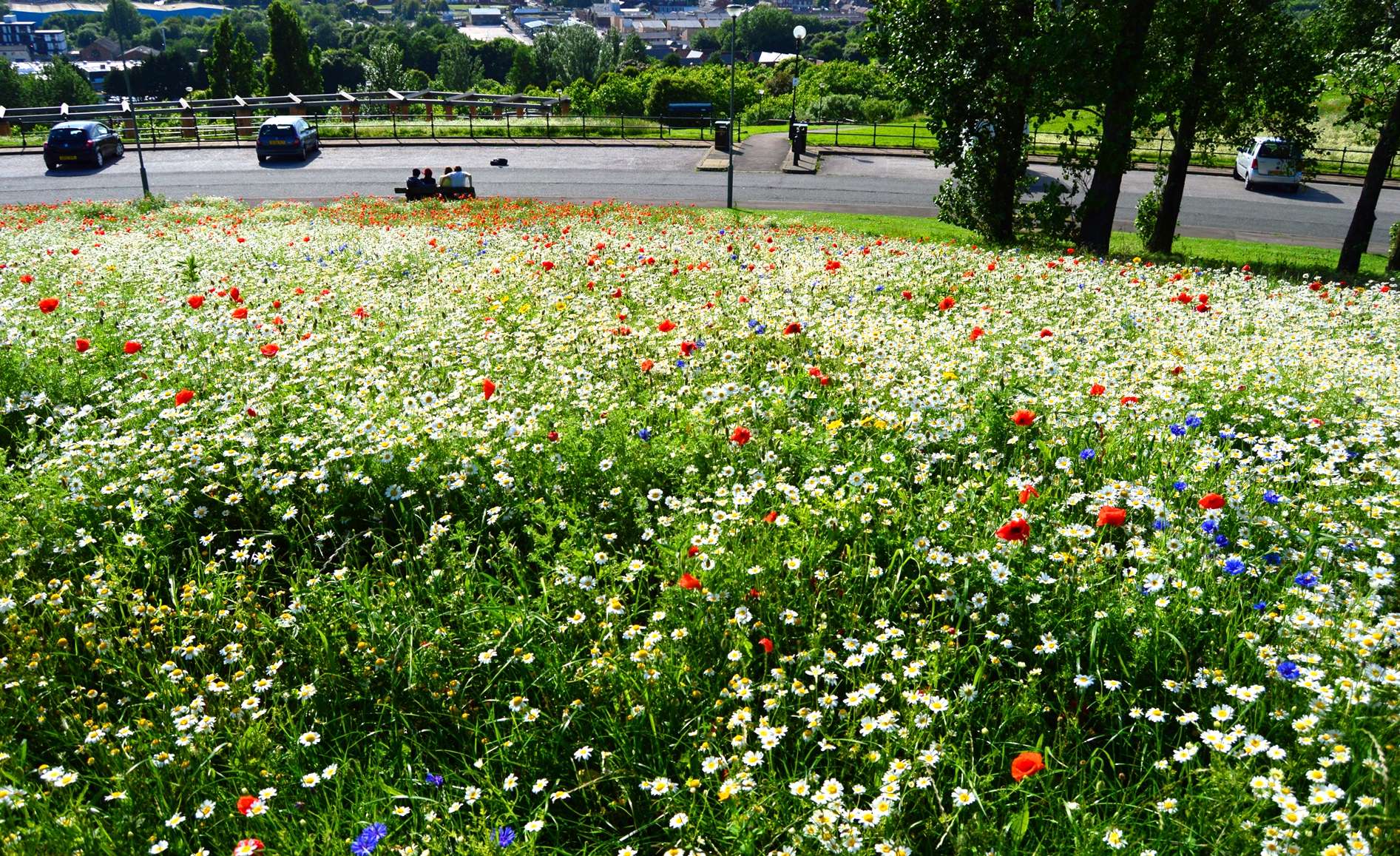 Everton Park