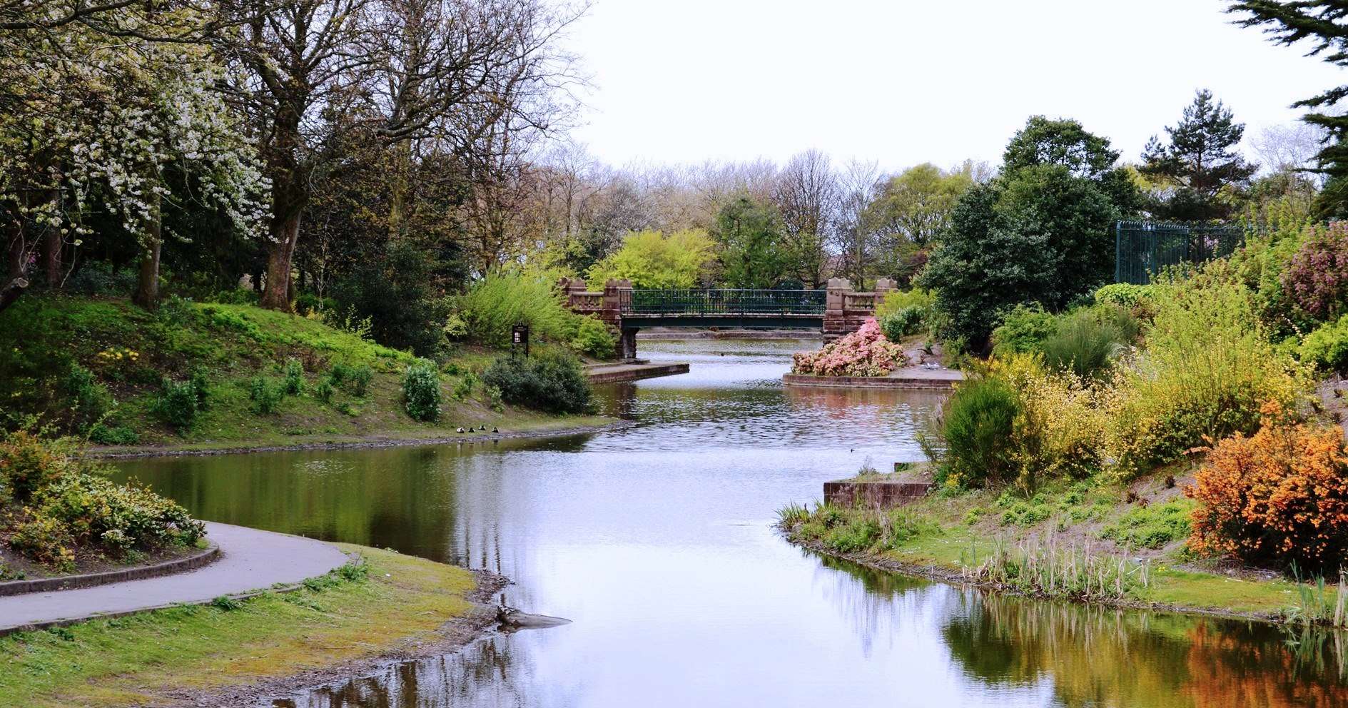 Stanley park lake